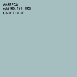 #A5BFC0 - Cadet Blue Color Image